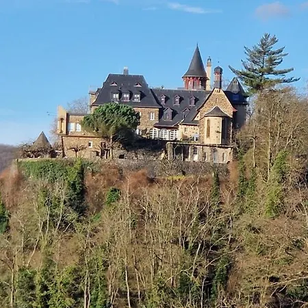Mit Rheinblick In Bei Linz Am Rhein Ockenfels