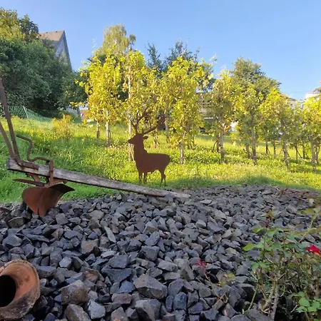 Mit Rheinblick In Bei Linz Am Rhein