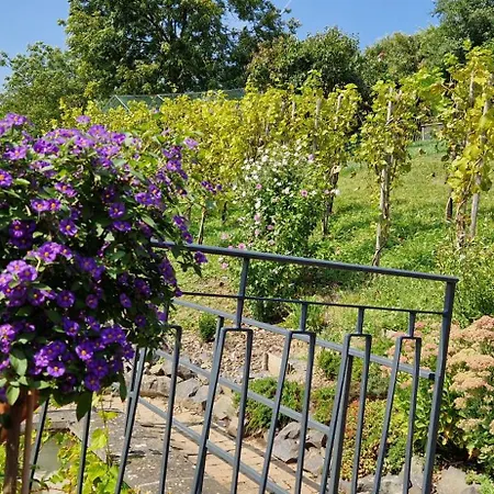 Mit Rheinblick In Bei Linz Am Rhein Daire Ockenfels